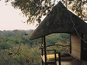 Camp, Londolozi